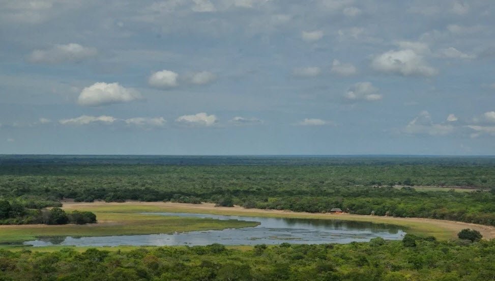 Kasanka National Park, Central Province (Serenje), Zambia